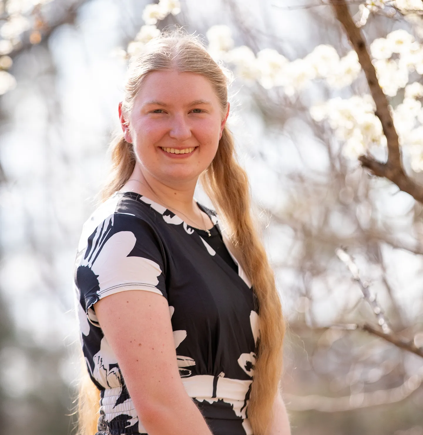 Allison Estabrook